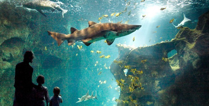 Aquarium Grand Lyon